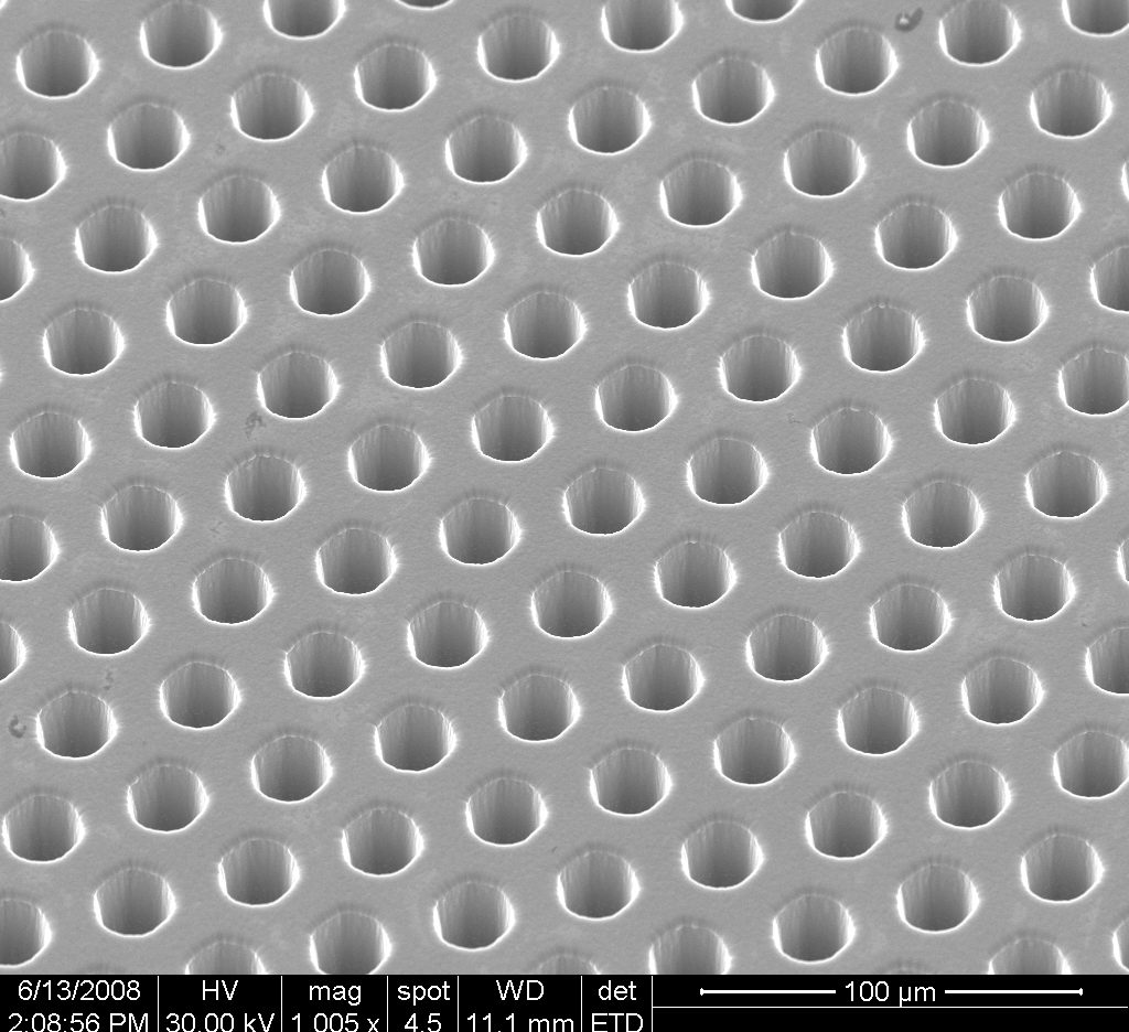 vecomicro holes of several microns - micro-metre sized perforations